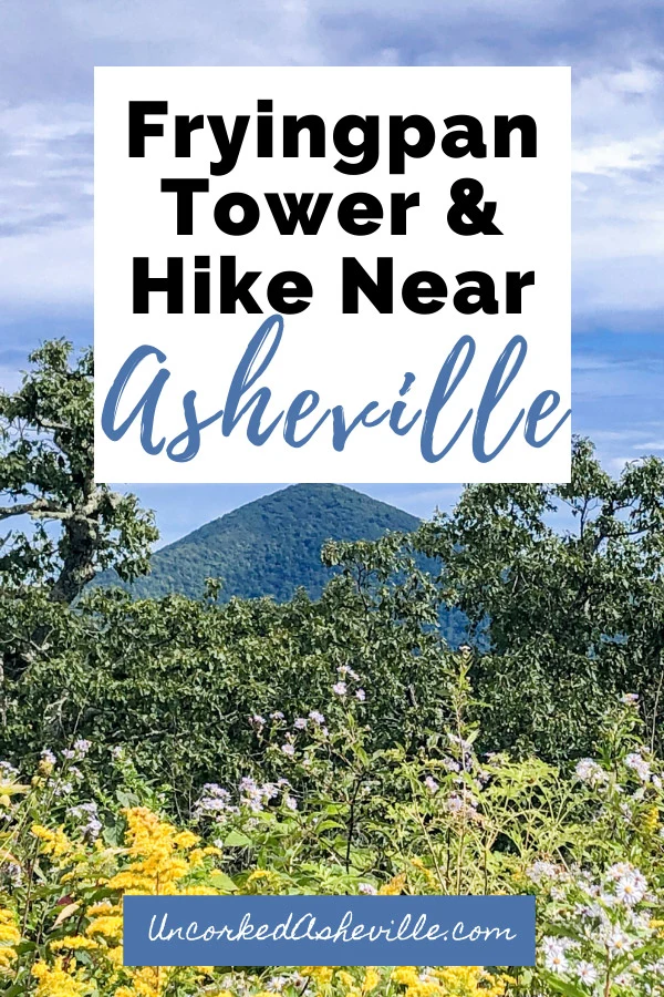 Fryingpan Mountain Lookout Tower and Trail Pinterest Pin with blue and green mountains and yellow wildflowers looking towards Mt Pisgah