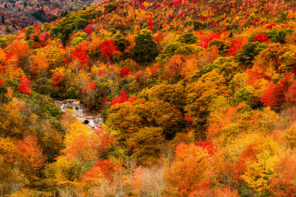 Graveyard Fields and Loop with waterfall in the distance surrounded by fall foliage