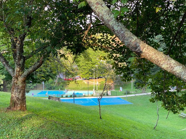 Montford Park Asheville NC with bright green grass, trees, and two blue tennis courts from a distance