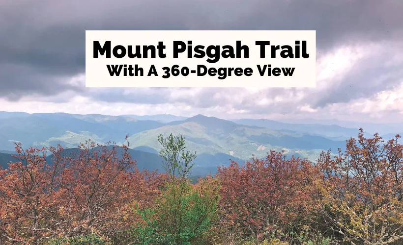 Mt Pisgah Hiking Trail Mount Pisgah Trail: Stand On Top Of The World | Uncorked Asheville