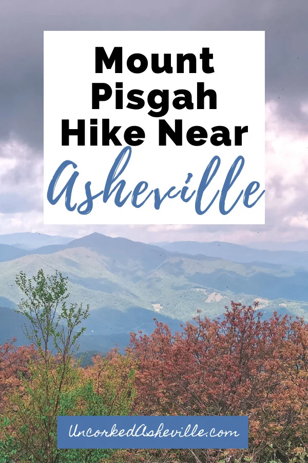 Mount Pisgah Trail Stand On Top Of The World Uncorked Asheville