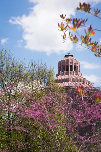 Pack Square Park Asheville North Carolina with Art Deco City Hall building with purple flowering trees