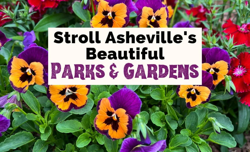 Gardens and Parks In Asheville NC with image of orange, purple, and red flowers from the NC Arboretum