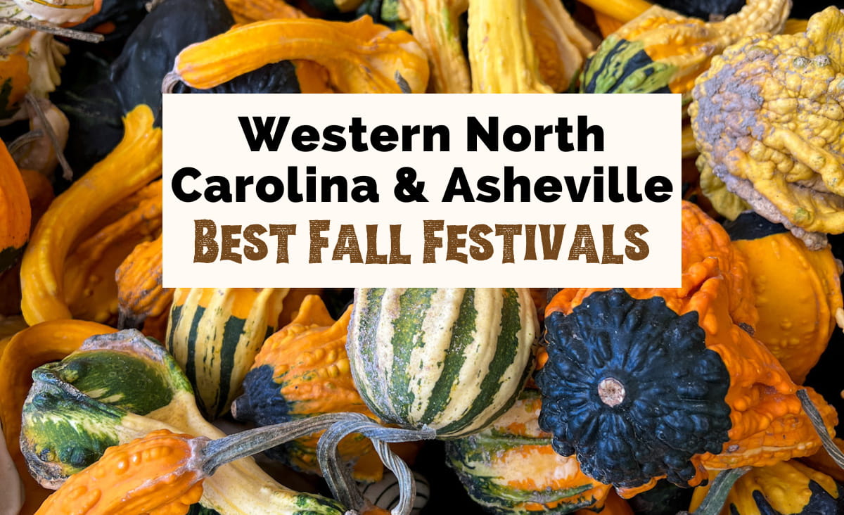 Best Asheville Fall Festivals, Activities, And Events (2023)