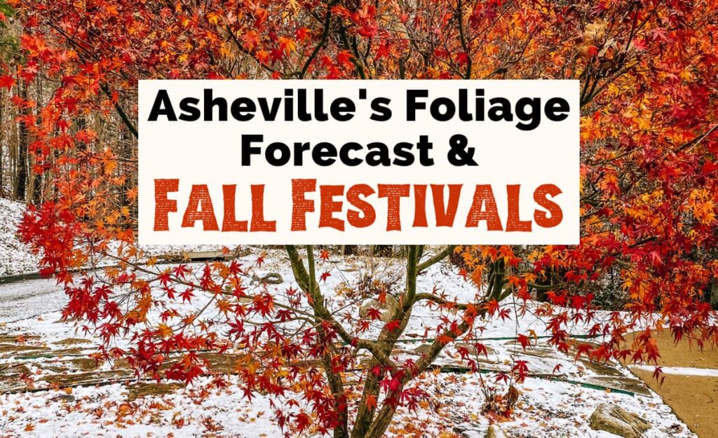Asheville Fall Foliage Color and Festivals with image of red and orange tree surrounded by light snow dusting