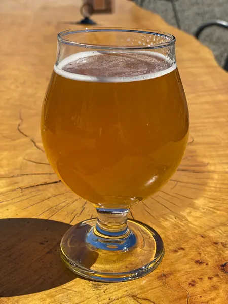 Bhramari Brewing Company glass of light brown beer