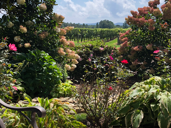 Hendersonville Wineries Burntshirt Vineyards near Asheville NC with flowers and vineyard