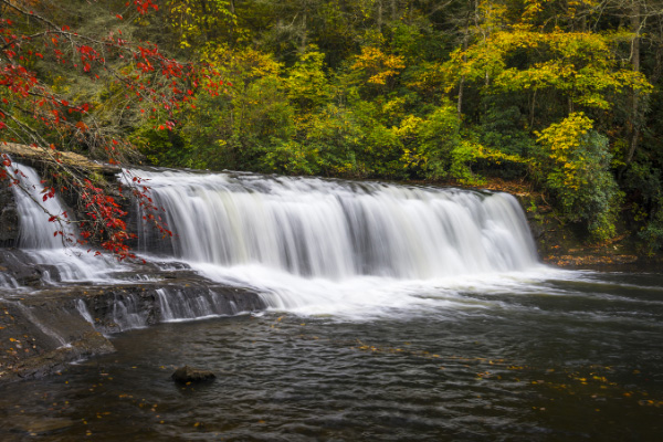 Hooker Falls DuPont State Recreational Forest waterfalls with single tier waterfall and pool at bottom surrounded by trees