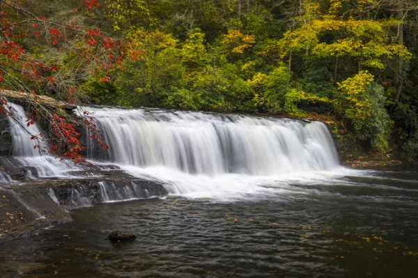 Hooker Falls DuPont State Recreational Forest waterfalls with single tier waterfall and pool at bottom surrounded by trees