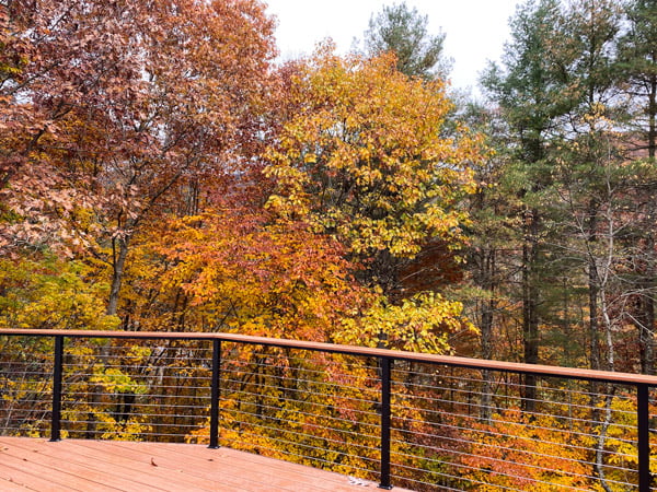 Living In Asheville Fall Deck with red, yellow, and orange leaves in backyard