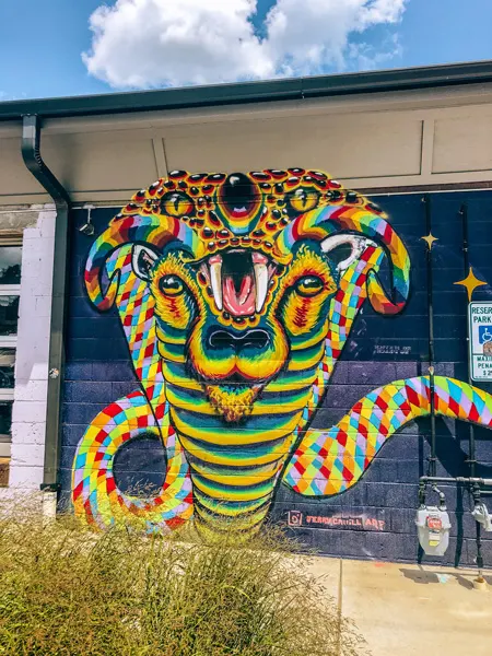 River Arts District Murals Asheville NC rainbow snake with animal face inside it