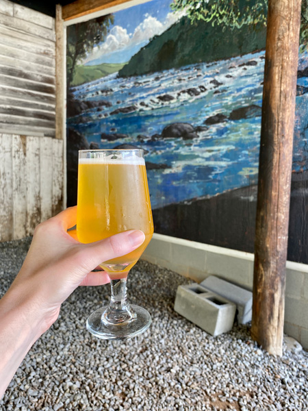 Riverside Rhapsody Brewery Woodfin NC with white hand holding up a Saison against a mural