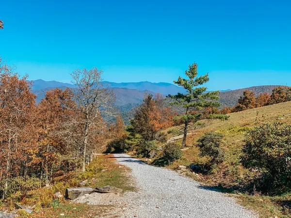 Bearwallow Mountain Trail Access Road with fall foliage