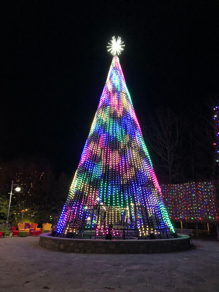 Light Displays Asheville NC Arboretum Winter Lights with tall lights only outdoor Christmas tree