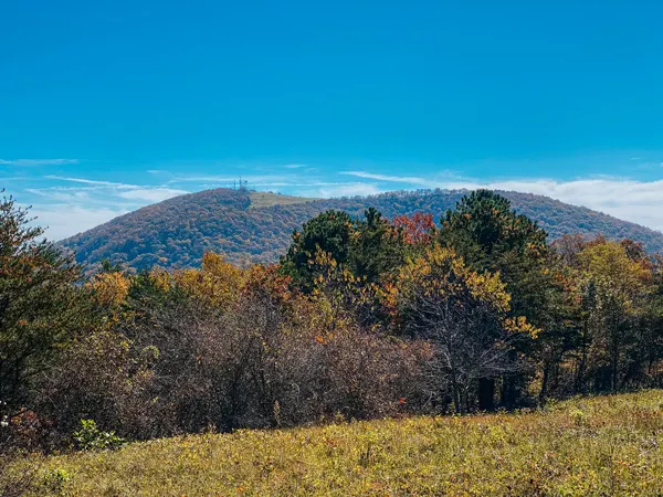 Trombatore Trail at Blue Ridge Pastures with view of Mount Mitchell and fall foliage-hued trees with green pasture