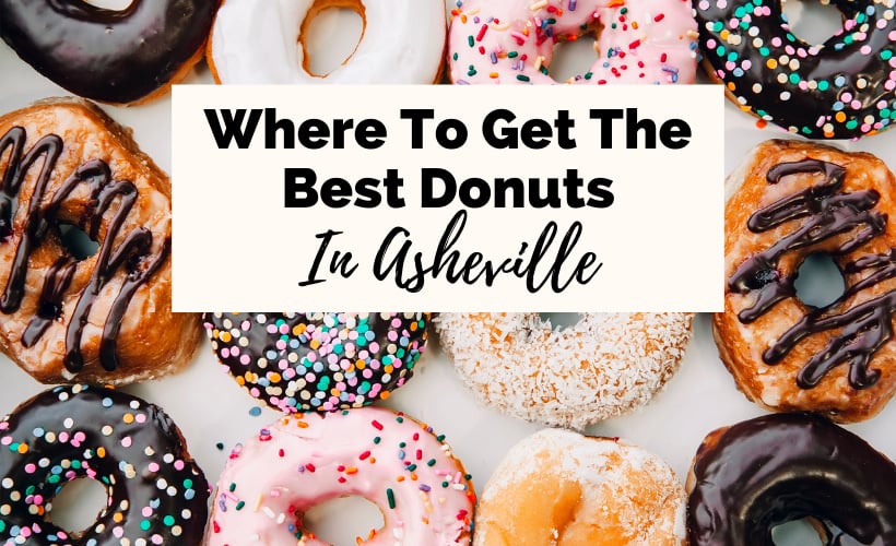 Best donuts in Asheville NC with 12 donuts with chocolate, vanilla, and strawberry frosting and sprinkles
