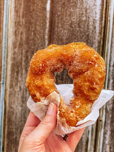 Hole Doughnuts brown donut with sugar and white hand holding it up