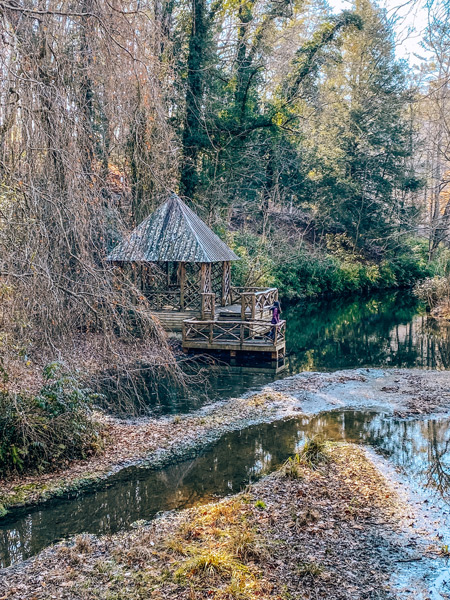 Asheville Winter Hiking Trails Biltmore with woman in purple coat looking out at Bass Pond from gazebo