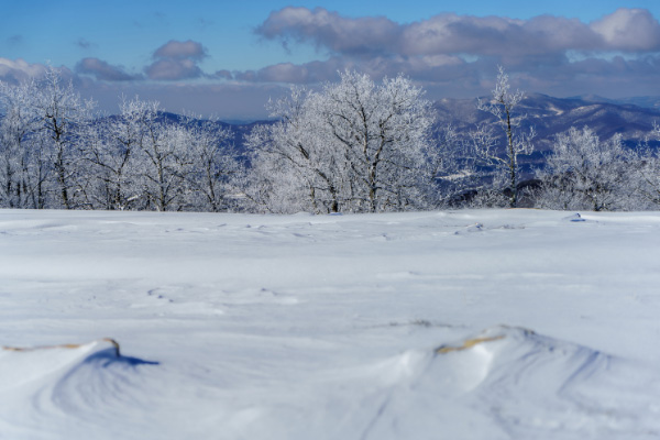 Bearwallow Mountain Winter landscape with snow