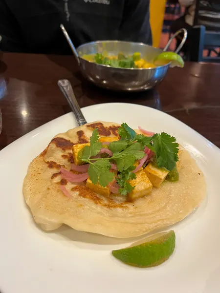 Blue Dream Curry House Indian Asheville NC with naan taco filled with tofu, purple cabbage, and cilantro with lime garnish