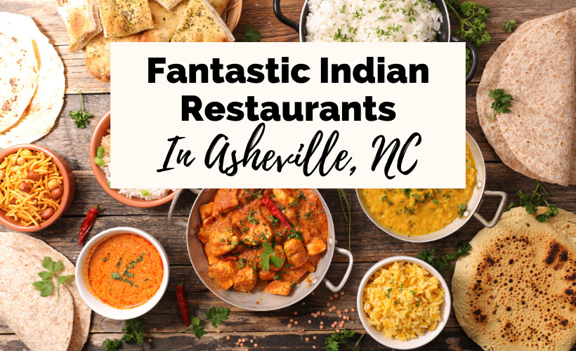 Indian Food Asheville Restaurants with picture of Indian curries, stews, meats, dal, tandoori, white rice