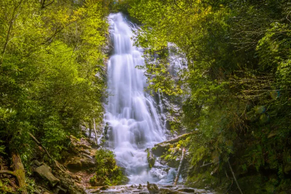 Mingo Falls In Cherokee North Carolina NC