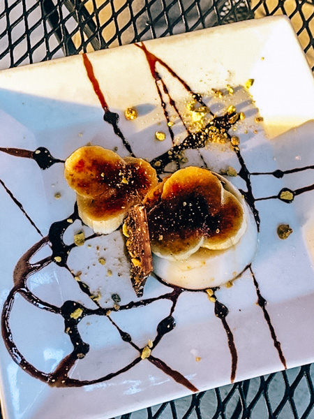 Plant vegan dessert with chocolate sauce