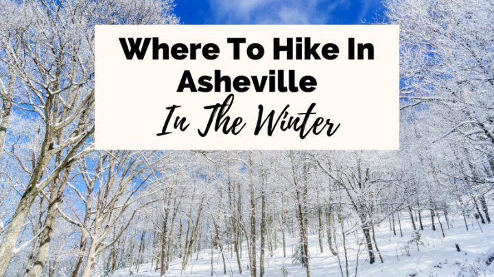 Winter Hikes Near Asheville with snowy trees at Bearwallow Mountain