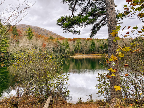 Asheville picnic spots Bent Creek Experimental Forest Lake Powhatan