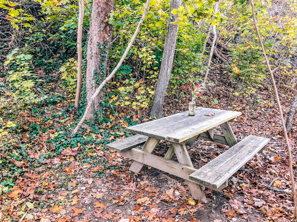 Beaver Lake in Asheville Picnic Table surrounded by trees and fallen leaves