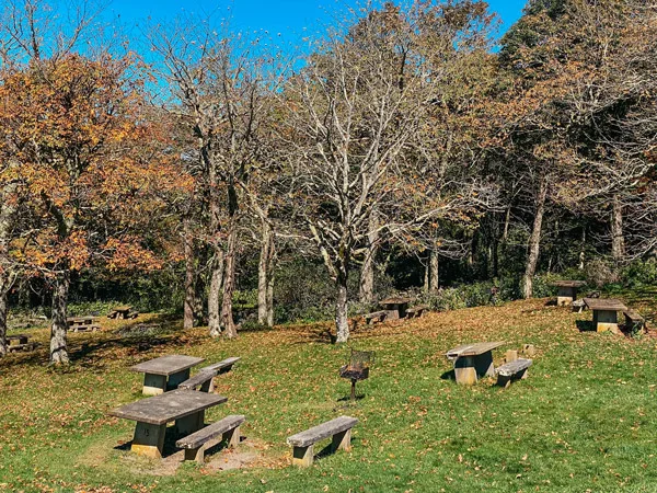 Craggy Gardens Picnic Area BRP with picnic tables, charcoal grills, and trees