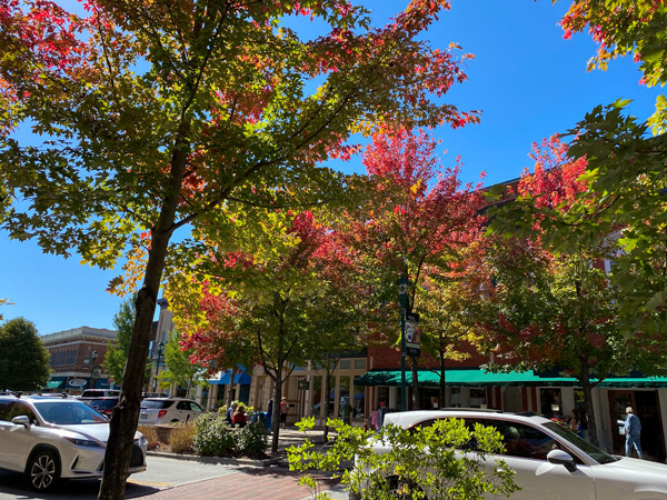 Downtown Hendersonville Main Street with trees, cars, street and shops