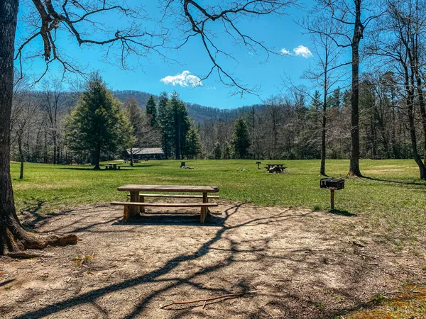 Pink Beds Picnic Area Pisgah Forest with picnic tables and trees