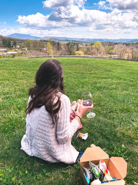 Stone Ashe Vineyards Hendersonville NC with white brunette woman drinking red wine on a grassy green hill with snack box
