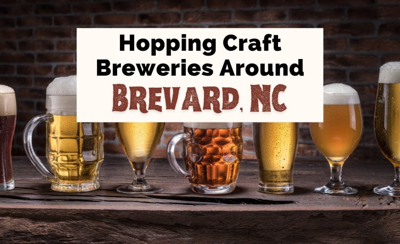 Best Breweries In Brevard NC with picture of different types of beer in different beer mugs
