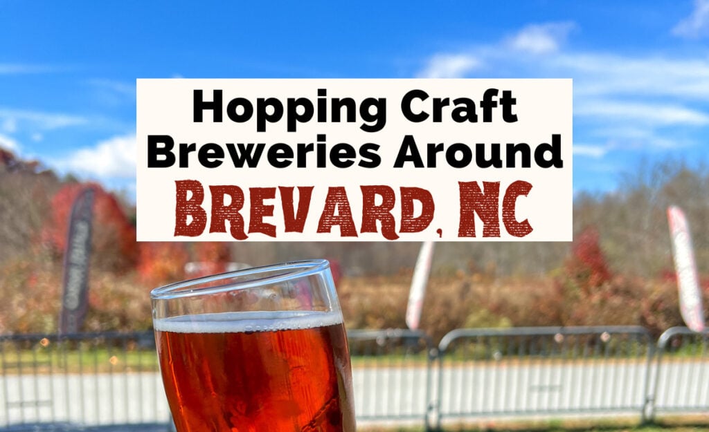 Breweries in Brevard NC with amber beer with blue sky and fall trees in the background at Oskar Blues Brewery