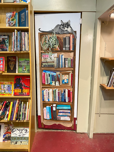 Downtown Books & News Asheville Mural of cat sitting on a filled bookshelf