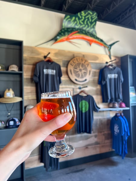 Ecusta Brewing Company Brevard NC with white hand holding up amber beer in front of Ecusta sign, fish decor, and small shop with their branded shirts