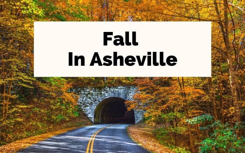 Asheville Fall and Fall In Asheville Blue Ridge Parkway tunnel with orange and golden leaves