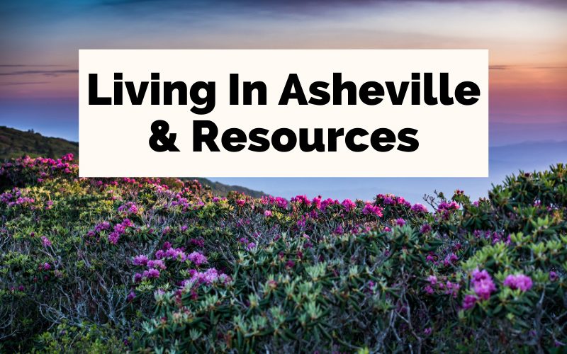 Asheville Living and Resources with Blue Ridge Mountains and colorful flowers