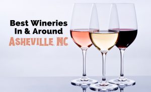 Asheville wineries and wineries near Asheville, NC with three glasses of pink, red and white wine