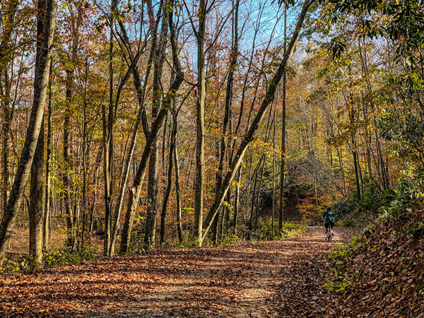 Bent Creek Experiment Forest Mountain Biking Asheville with fall foliage and man mountain biking in the distance down a small hill among fallen leaves and with a trail surrounded by leaves