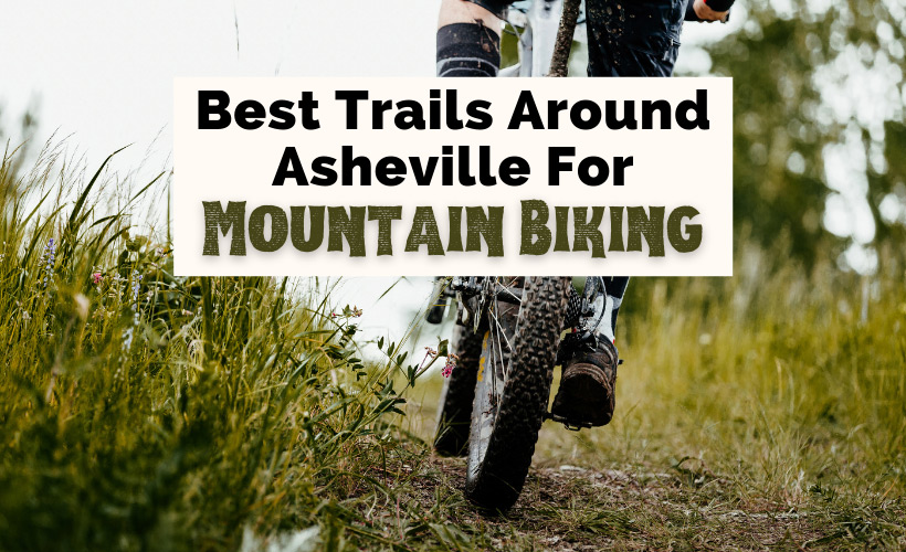 Best Asheville Mountain Biking Trails NC with mountain bike on trail surrounded by taller green grass
