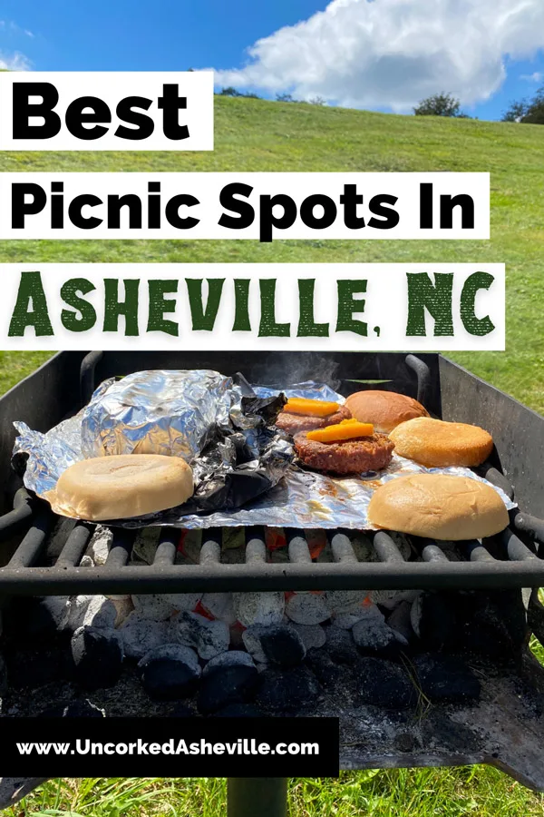Best Picnic Spots In Asheville NC Pinterest Pin with charcoal grill filled with burger patties and rolls with blue sky and green grass
