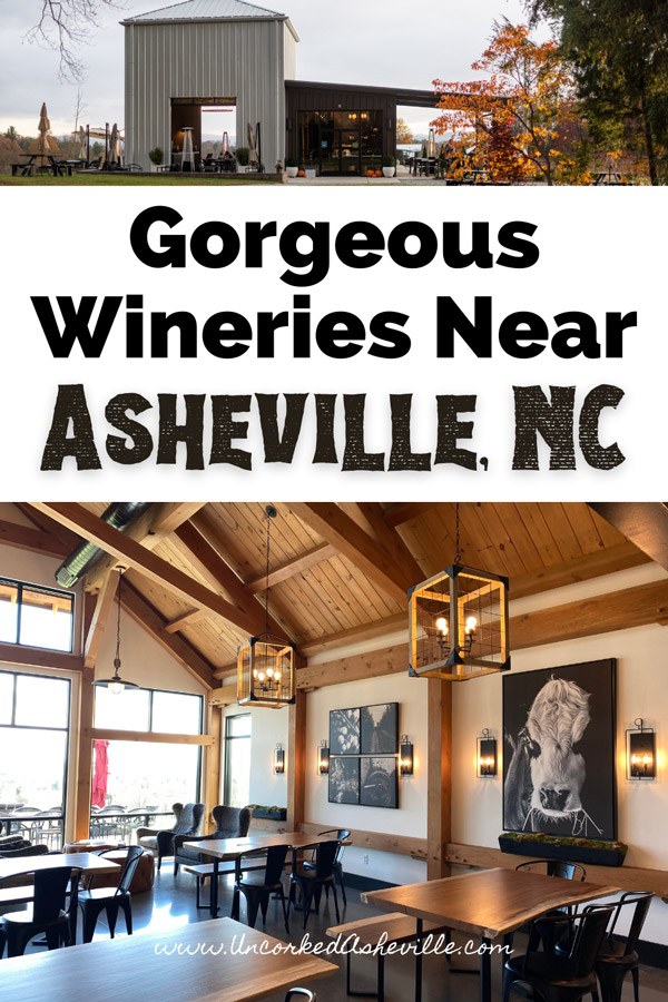 Best Wineries Near Asheville NC and Hendersonville Pinterest Pin with Marked Tree Vineyards and inside of Stone Ashe Vineyards