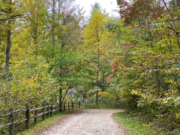 Bike Trails Asheville NC Arboretum with gravel road surround by green trees and fence