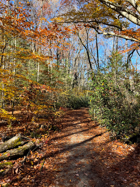 Brevard Bike Path in the Pisgah National Forest