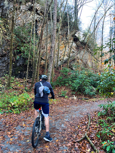 Tom mountain biking in forest