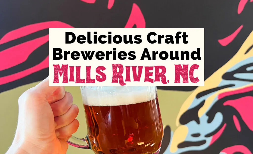 Mills River Breweries North Carolina with white hand holding up amber beer with pink, yellow and blue mural in background at Burning Blush Brewery
