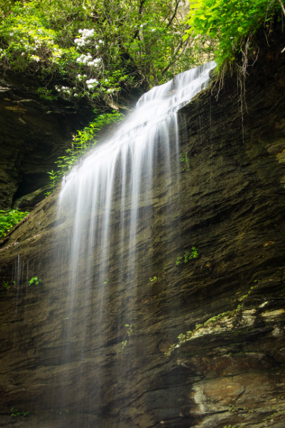 Moore Cove Falls in the Pisgah National Forest, NC near Daniel Ridge with waterfall cascading over a rock ledge